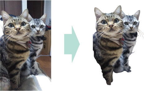 猫の写真から背景を透過するイメージ